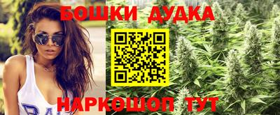 шишки Берёзовский