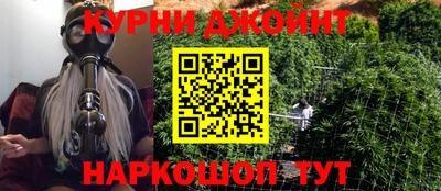 PSILOCYBIN Бийск