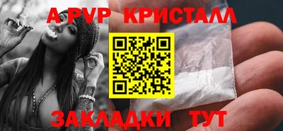 шишки Берёзовский